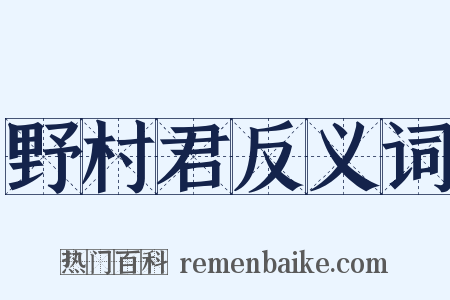 野村君反义词是什么意思的图片
